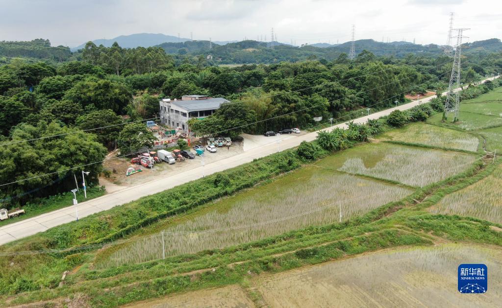 电游app